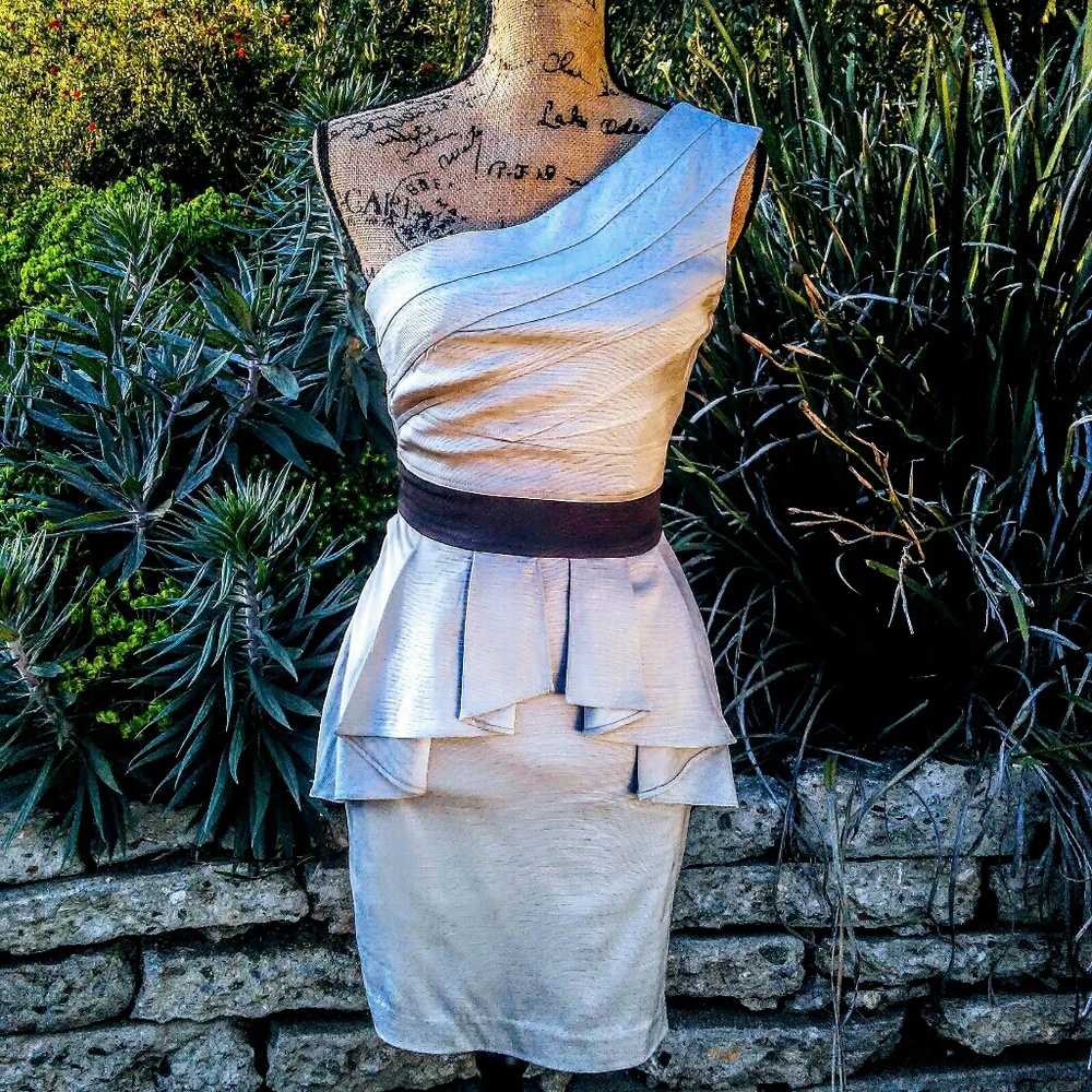 bebe Gray Dress